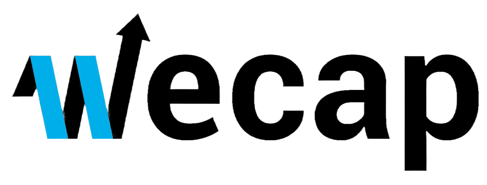 Wecap Financial, Inc.